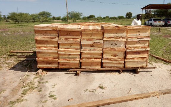 Beehives Workshop